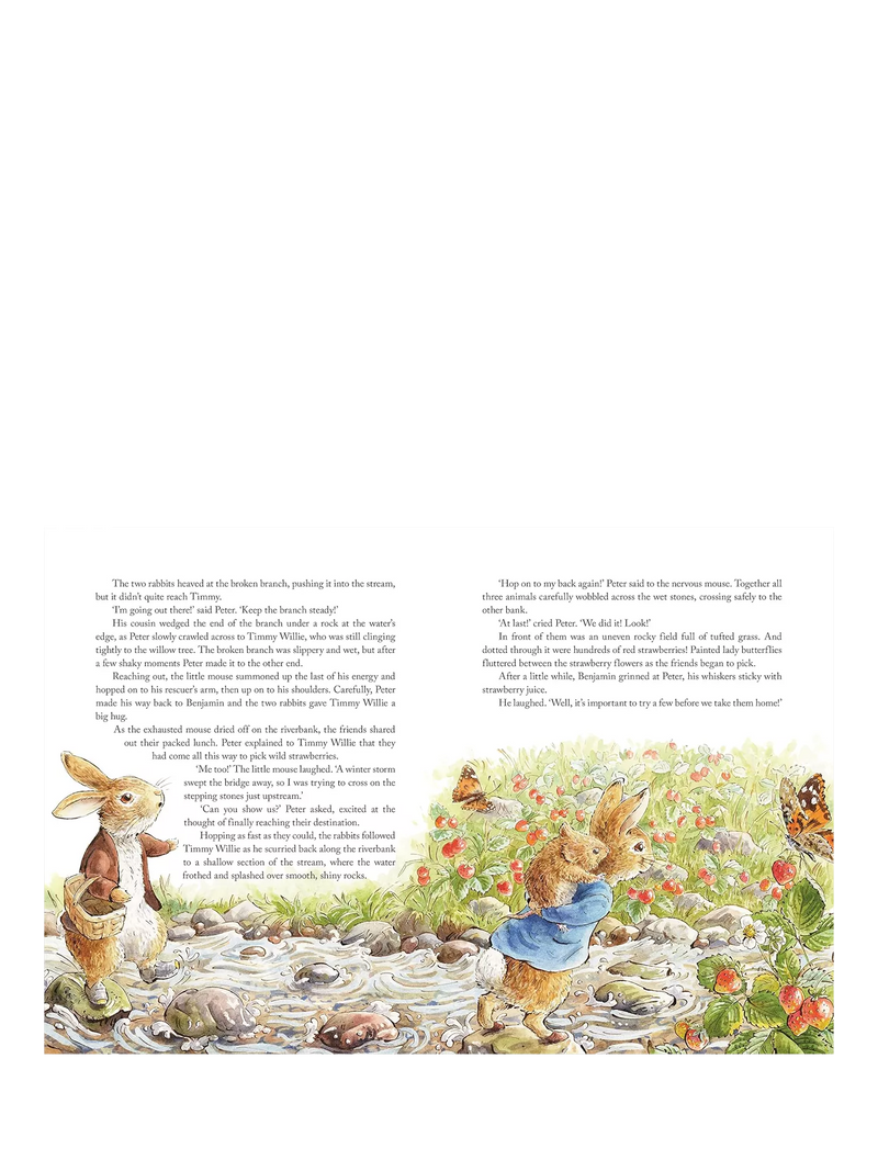 Peter Rabbit Tales from the Countryside hardback storybook (British brand)