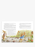 Peter Rabbit Tales from the Countryside hardback storybook (British brand)