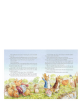 Peter Rabbit Tales from the Countryside hardback storybook (British brand)
