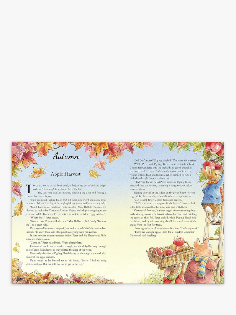 Peter Rabbit Tales from the Countryside hardback storybook (British brand)