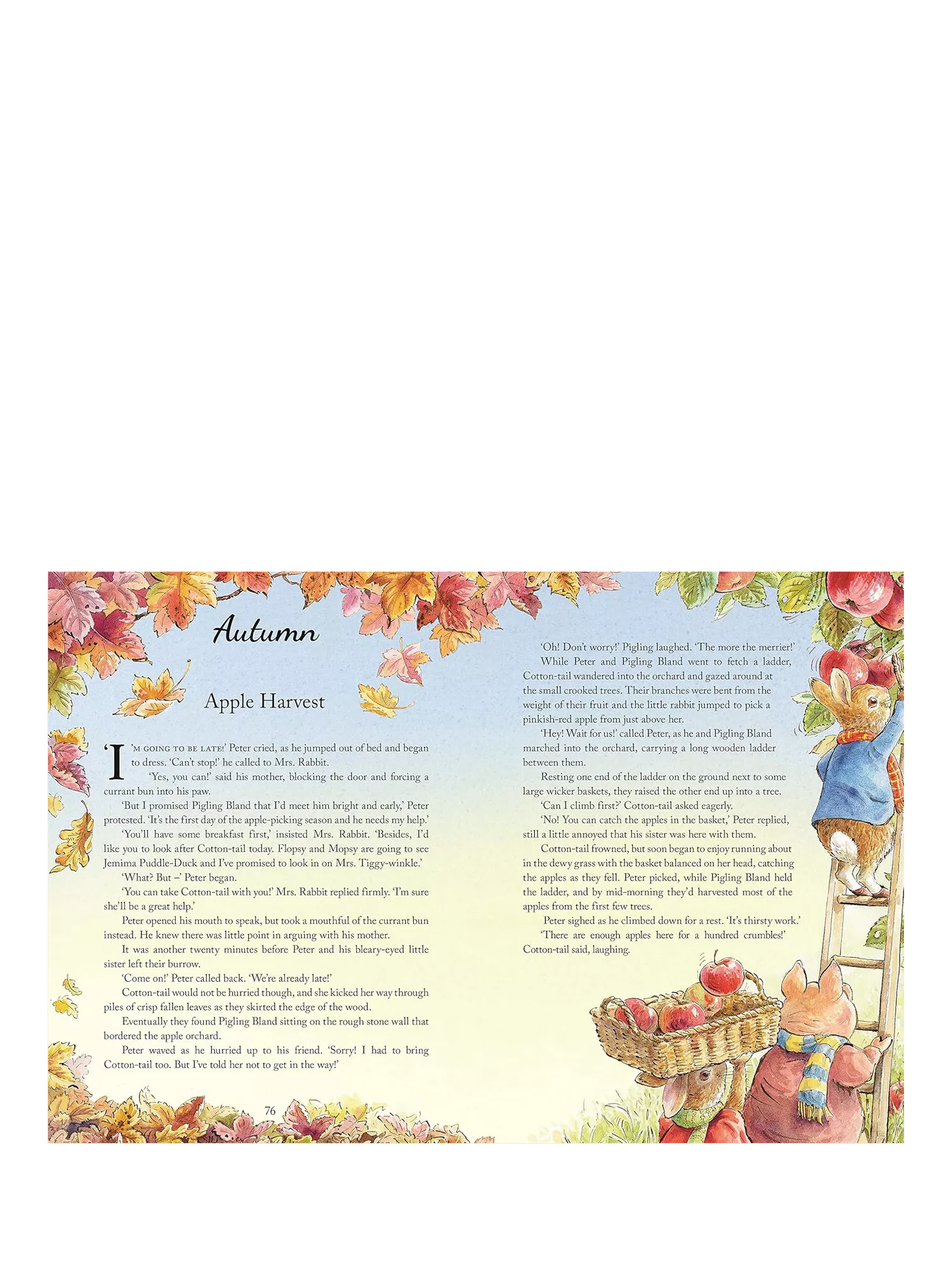 Peter Rabbit Tales from the Countryside hardback storybook (British brand)