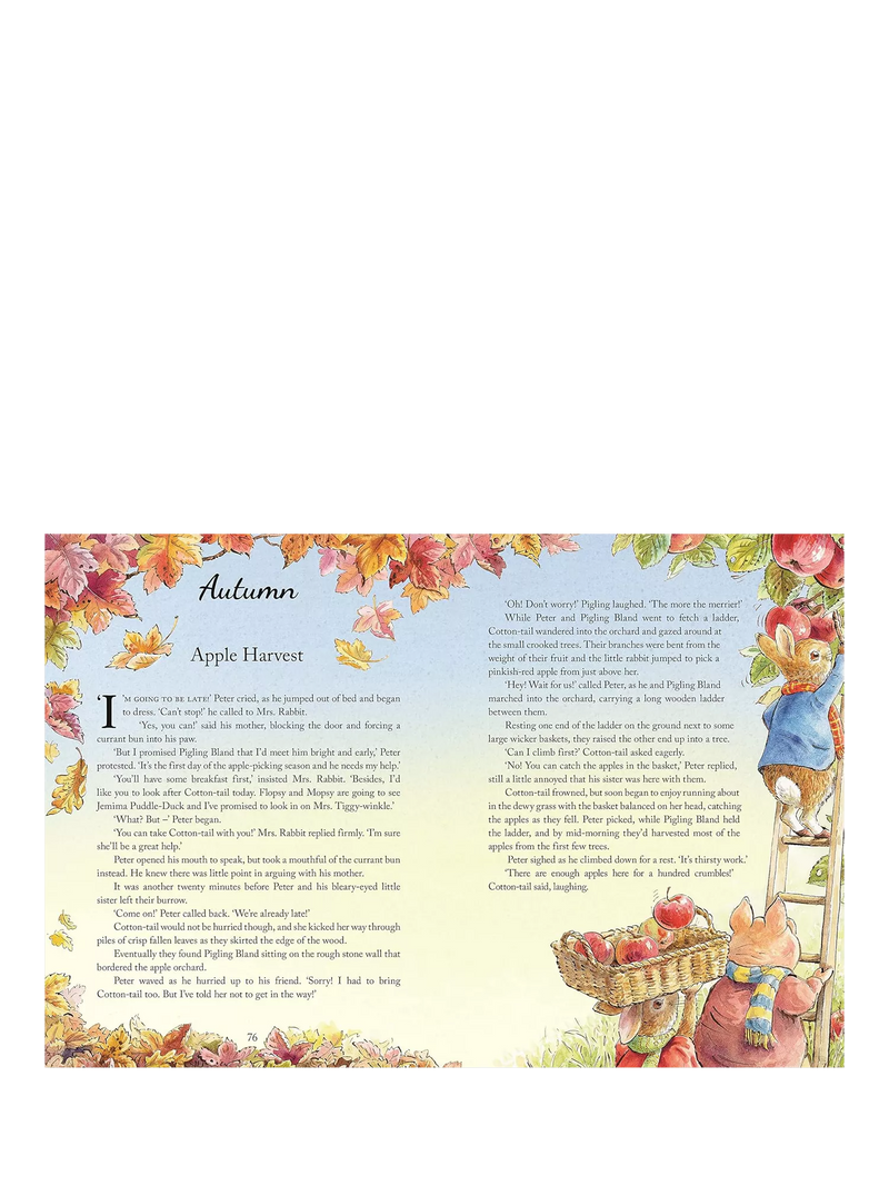 Peter Rabbit Tales from the Countryside hardback storybook (British brand)