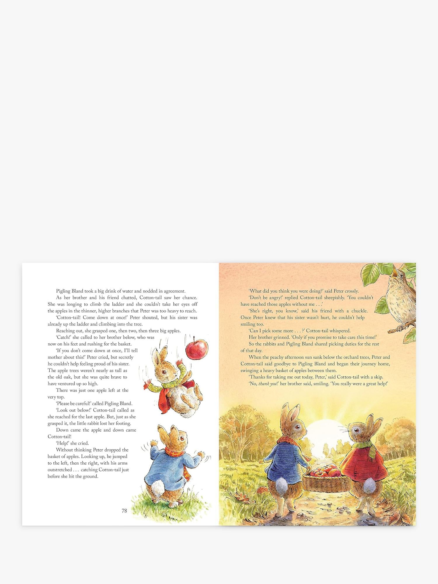 Peter Rabbit Tales from the Countryside hardback storybook (British brand)