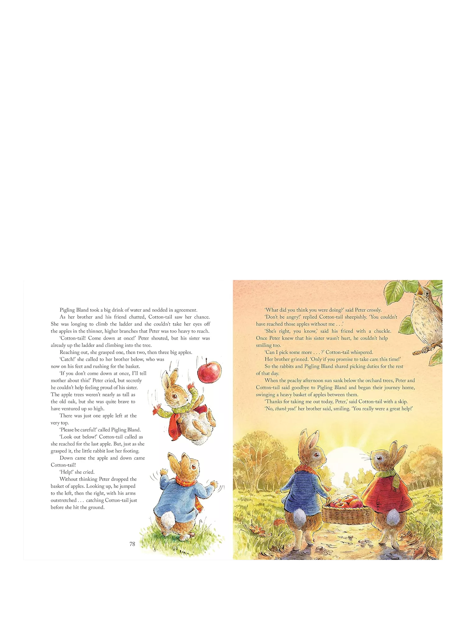 Peter Rabbit Tales from the Countryside hardback storybook (British brand)