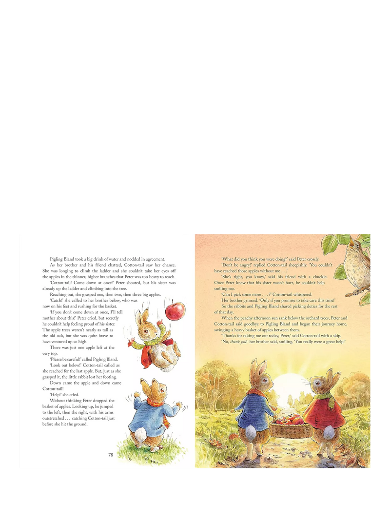 Peter Rabbit Tales from the Countryside hardback storybook (British brand)