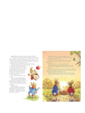 Peter Rabbit Tales from the Countryside hardback storybook (British brand)