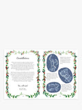Peter Rabbit Tales from the Countryside hardback storybook (British brand)
