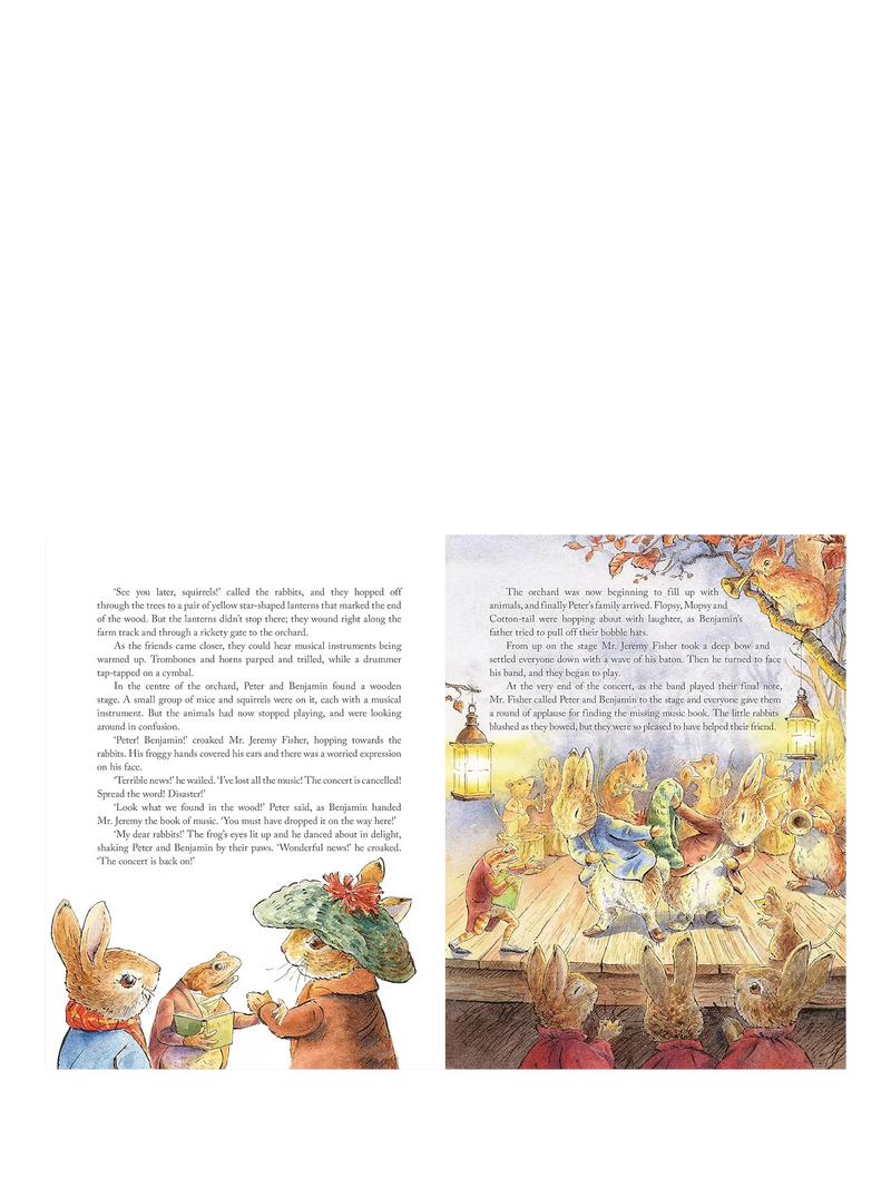 Peter Rabbit Tales from the Countryside hardback storybook (British brand)