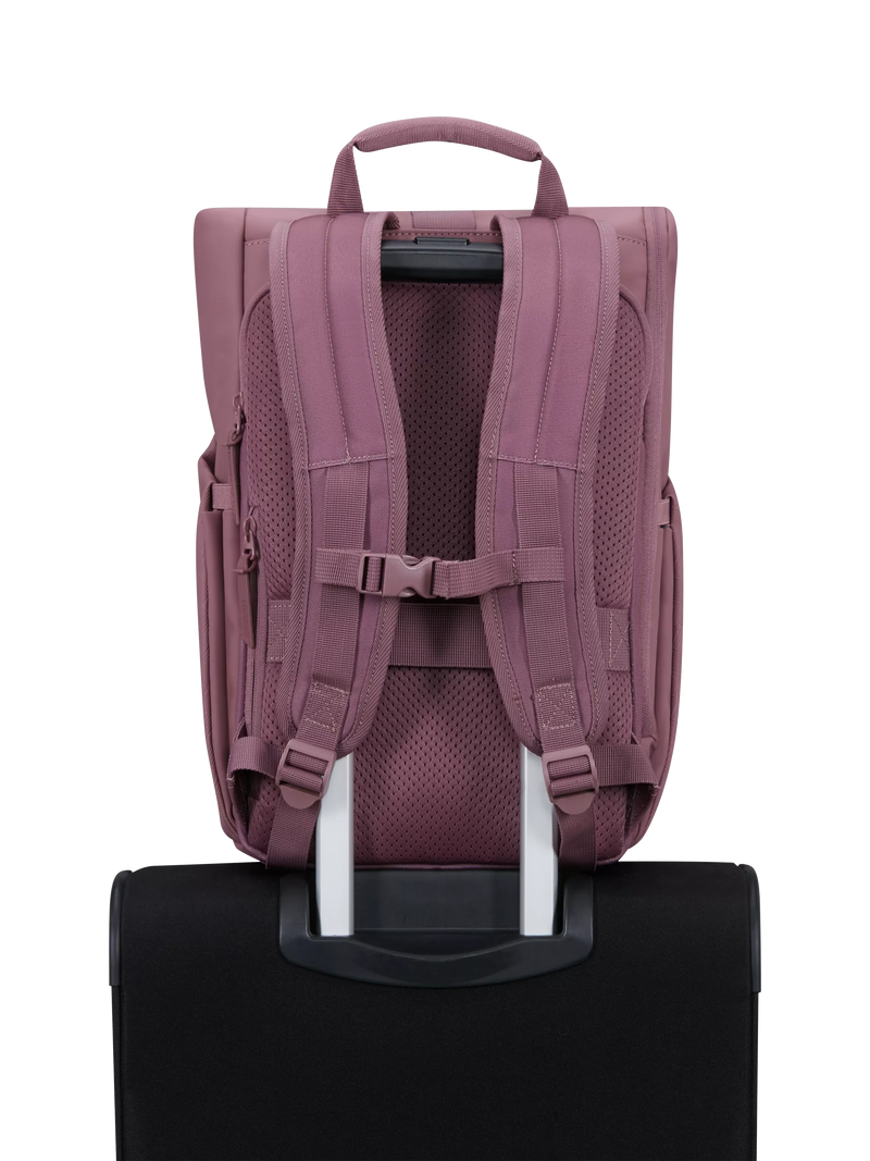 American Tourister roll top backpack mauve 22.5L, imported from the UK