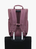 American Tourister roll top backpack mauve 22.5L, imported from the UK