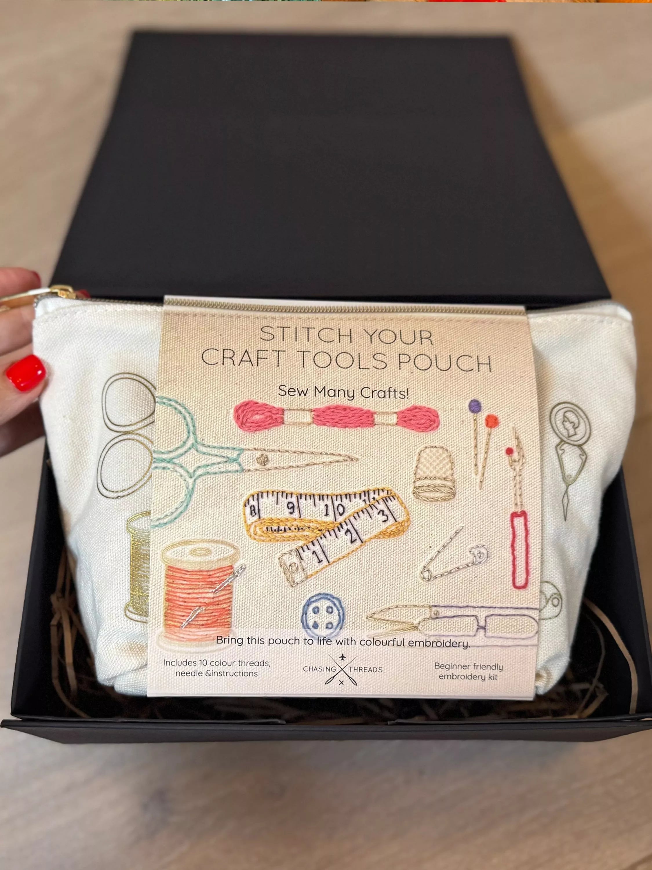 Chasing Threads embroidery kit zipped pouch beginner craft set, UK version