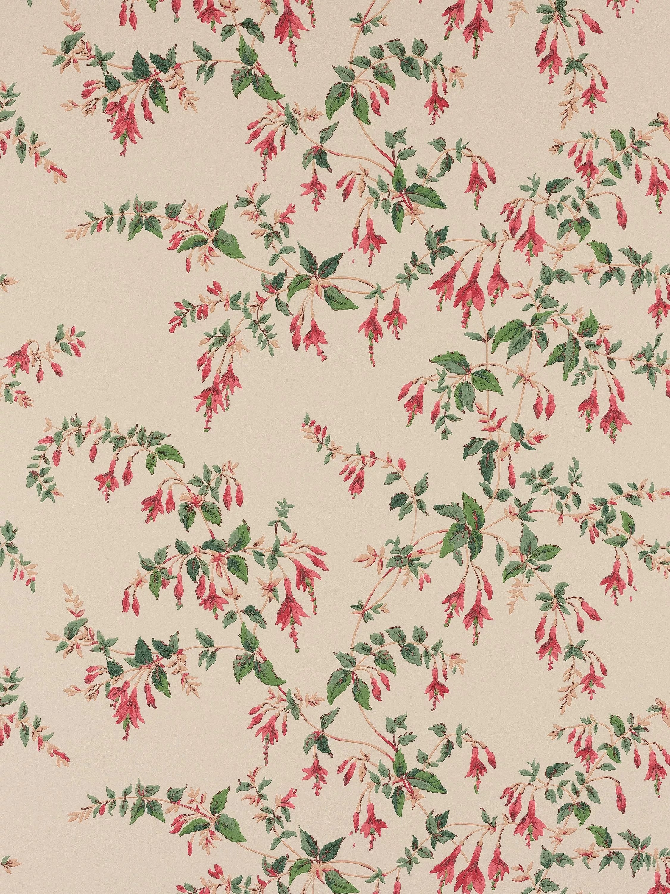Colefax and Fowler Fuchsia Floral Wallpaper 68.5cm x 10m