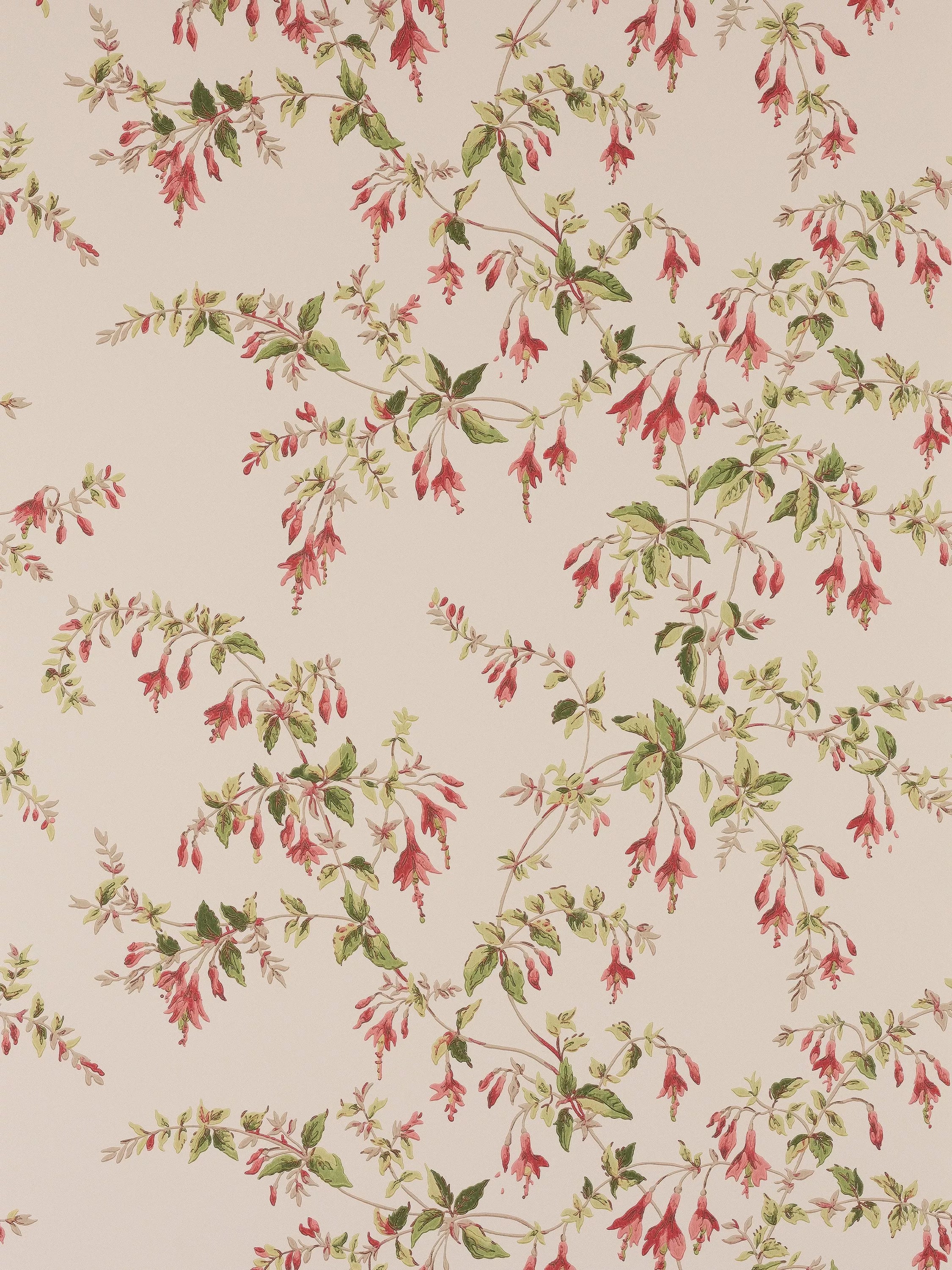 Colefax and Fowler Fuchsia Floral Wallpaper 68.5cm x 10m