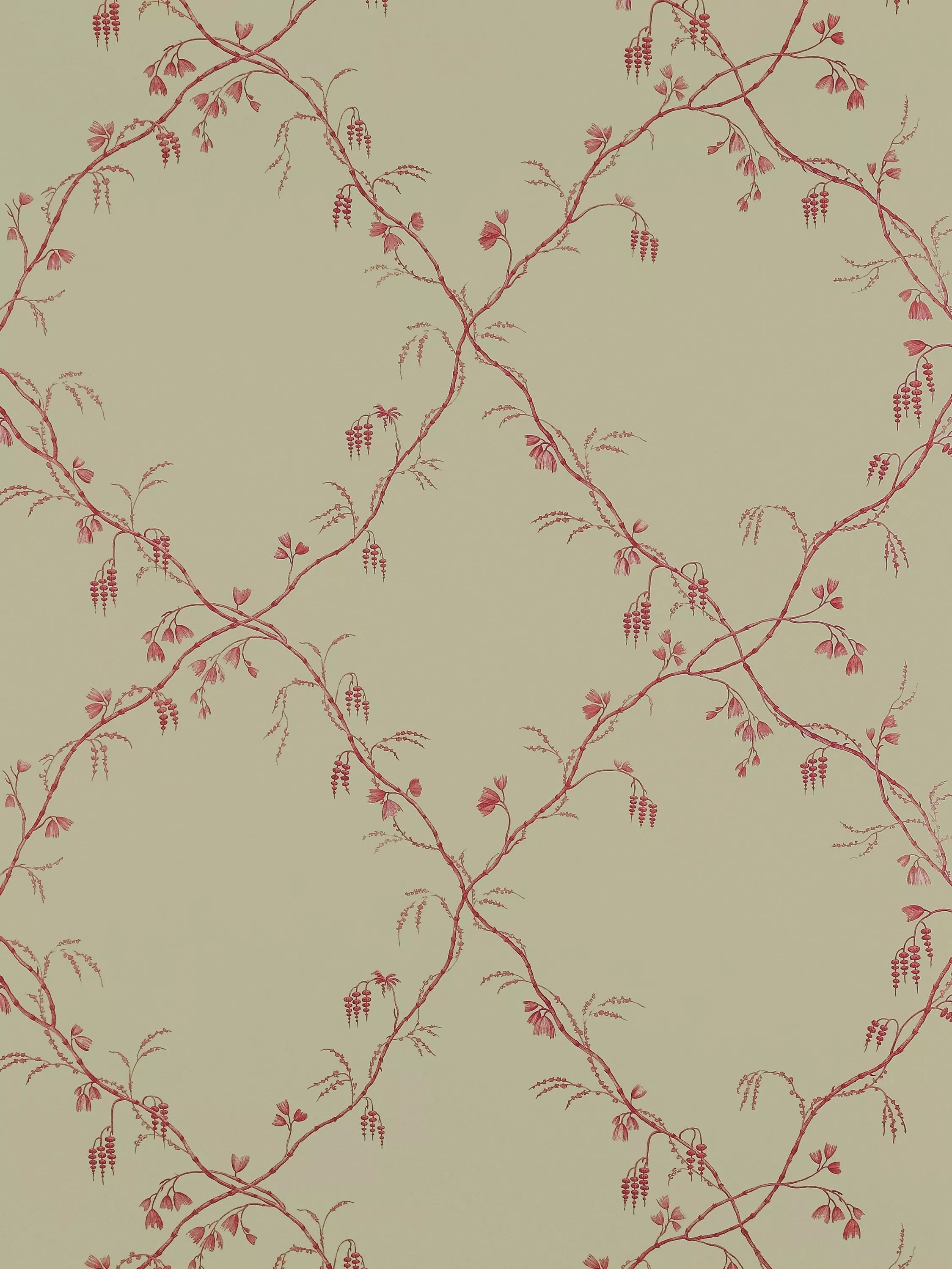 Colefax and Fowler Roussillon Trellis Wallpaper - W68.5cm x L10m