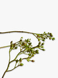 West Elm rosehip artificial branch 145cm tall, UK version