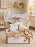 Bumbles & Boo Cheeky Monkey baby gift box, UK version