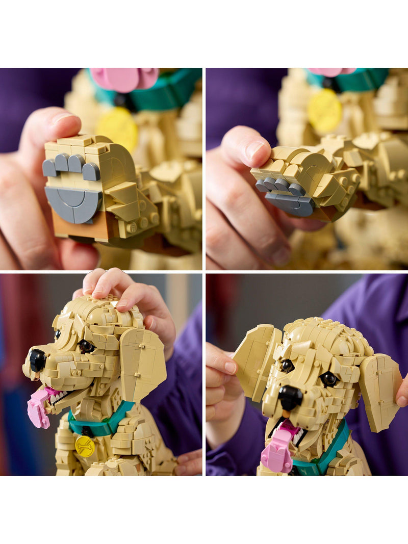LEGO Golden Retriever Puppy building set 2102 pieces, UK version