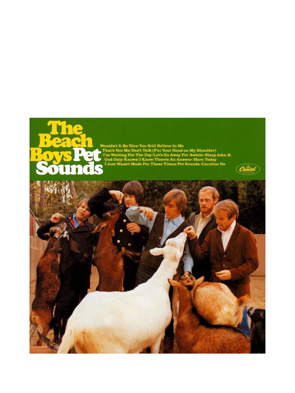 Rough Trade Beach Boys Pet Sounds vinyl 12 inch (British brand)