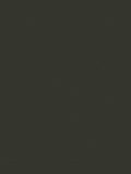 Abigail Ahern Eggshell Paint 1L