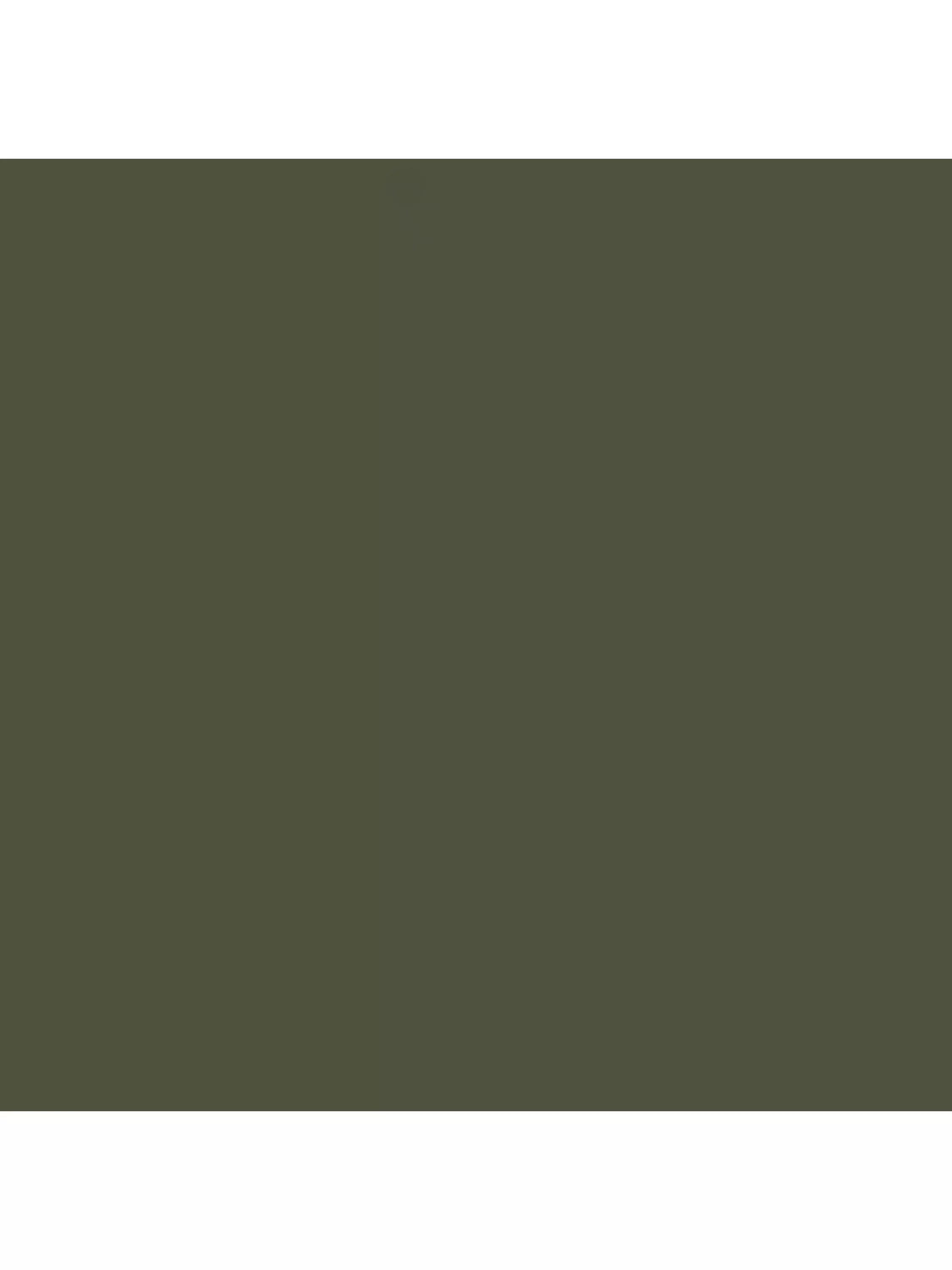 Abigail Ahern Eggshell Paint 1L