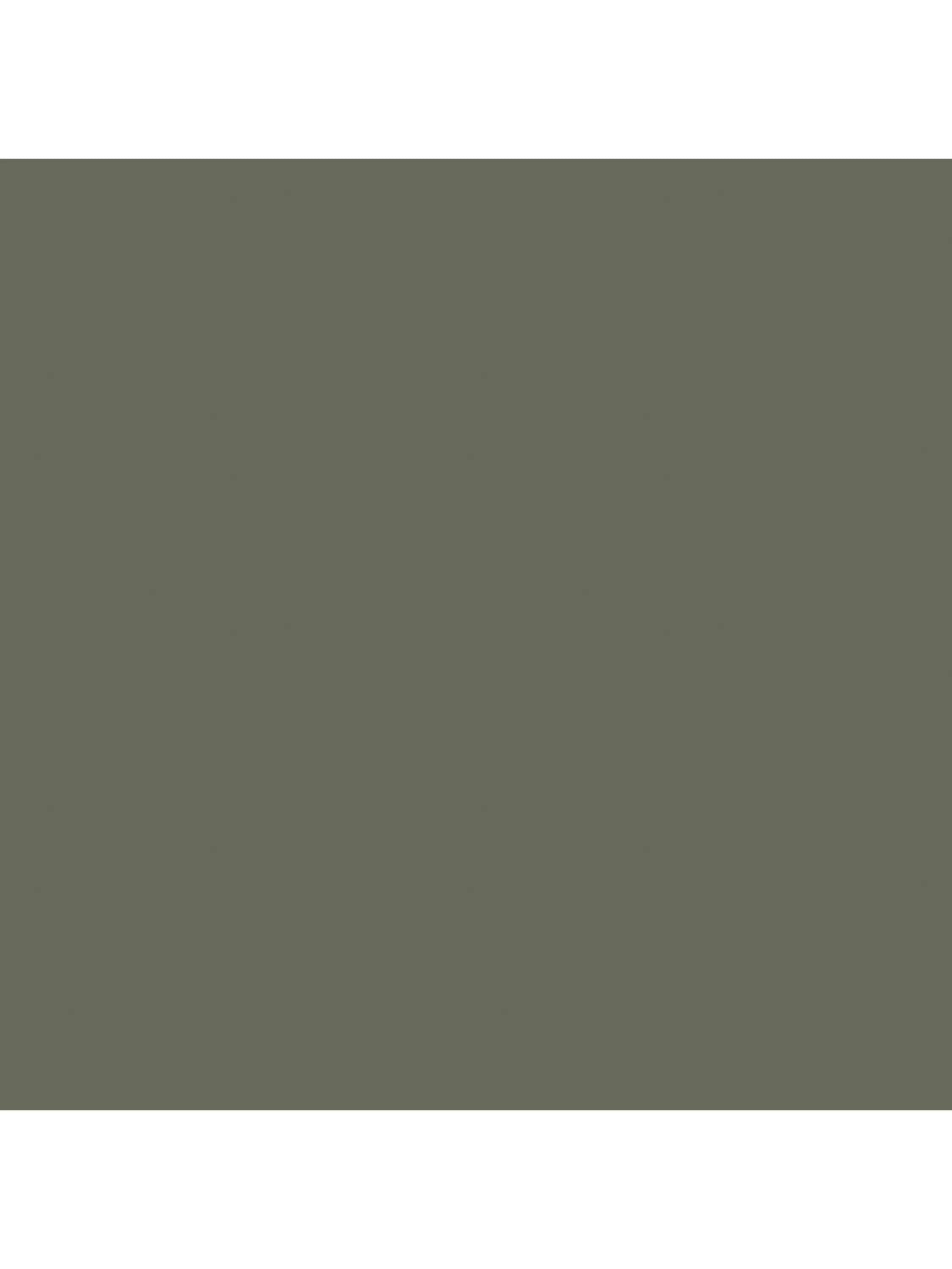 Abigail Ahern Eggshell Paint 1L