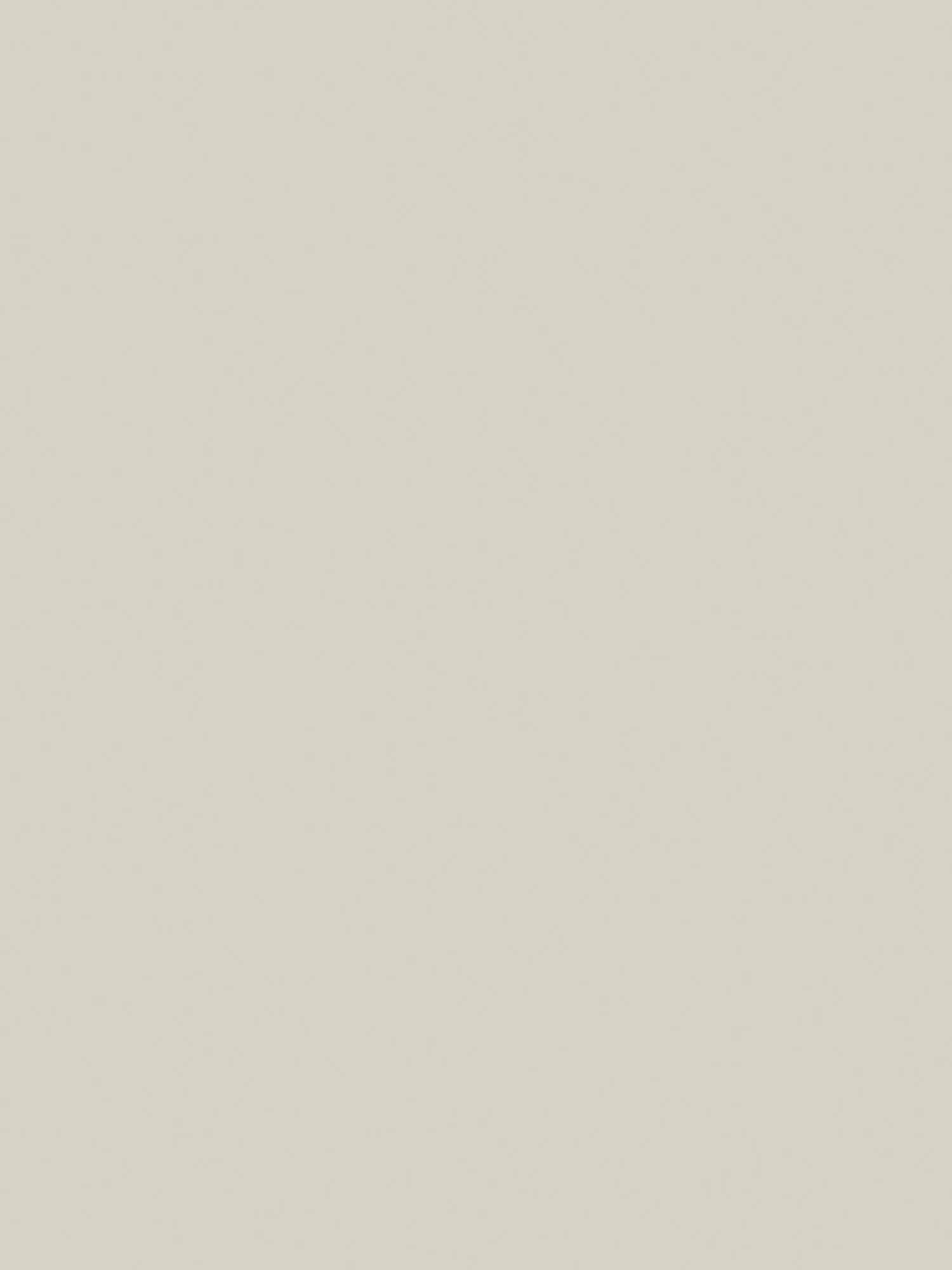 Abigail Ahern Matt Emulsion Paint, 2.5L, Anise Greige