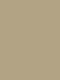 Abigail Ahern Matt Emulsion Paint, 2.5L, Moody Sage