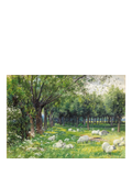 Wentworth Wooden Puzzles Sheep in an Orchard jigsaw puzzle 300 pieces, imported from the UK