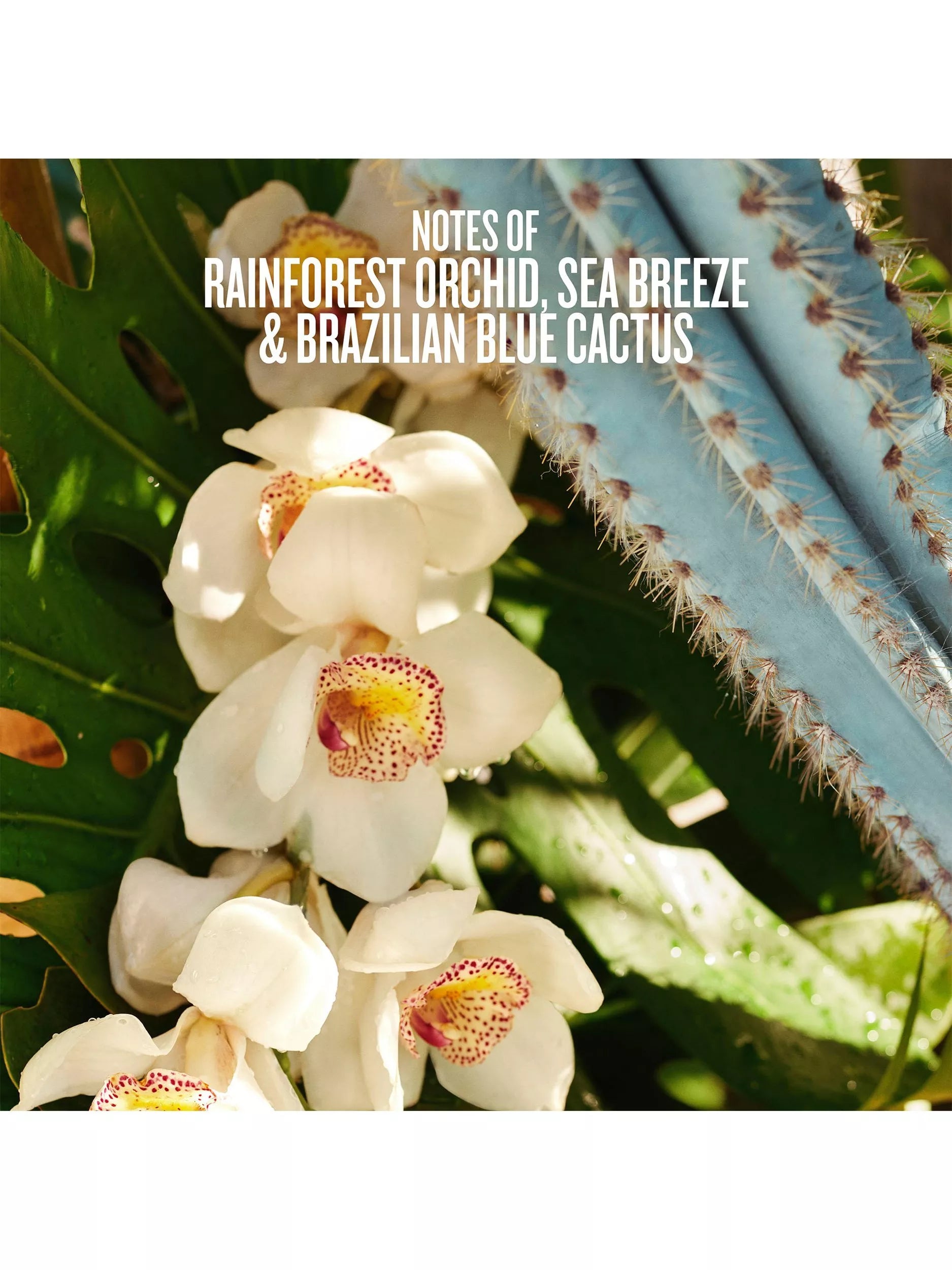 Sol de Janeiro Refresco Paraíso Mist 90ml (British brand)