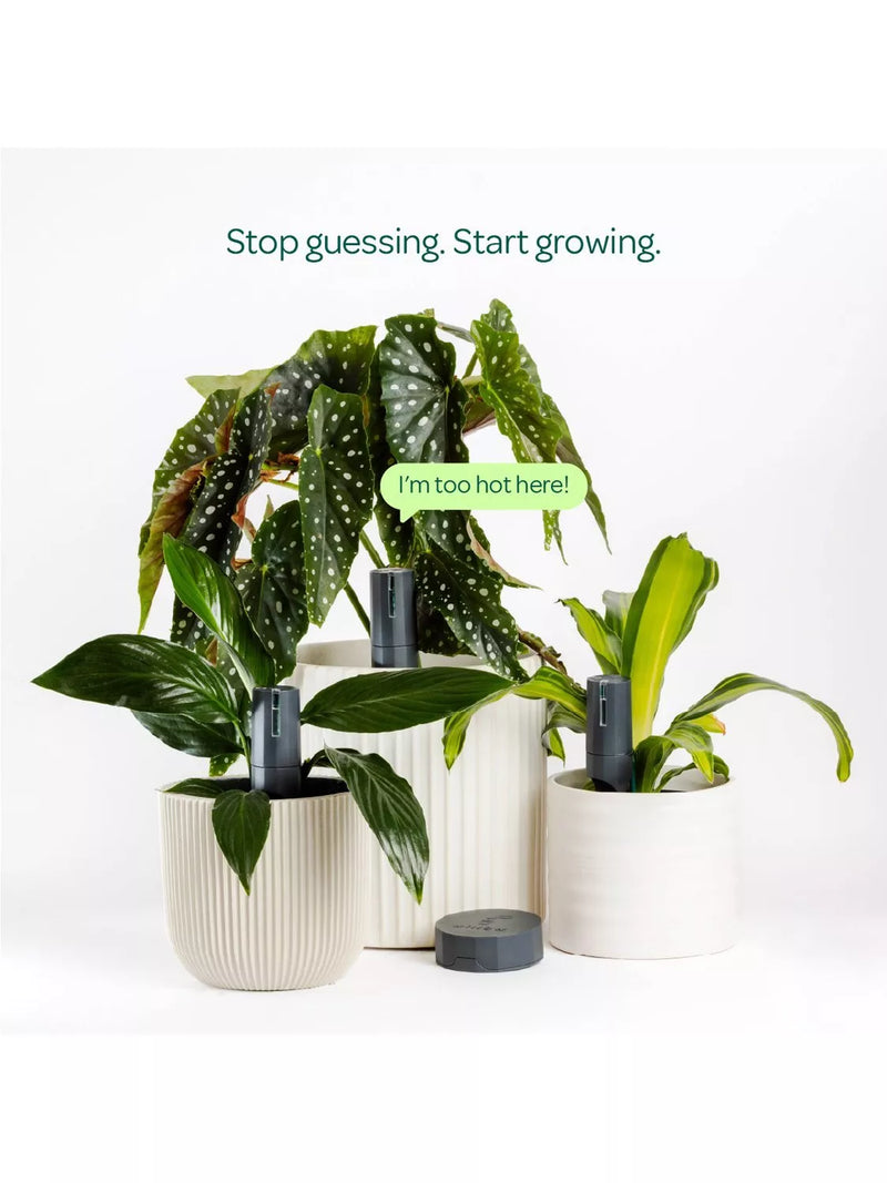 Willow smart plant sensor pack with 3 sensors and hub - British product