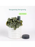 Willow indoor plant sensor starter pack with Wi-Fi hub, UK version