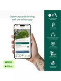 Willow indoor plant sensor starter pack with Wi-Fi hub, UK version