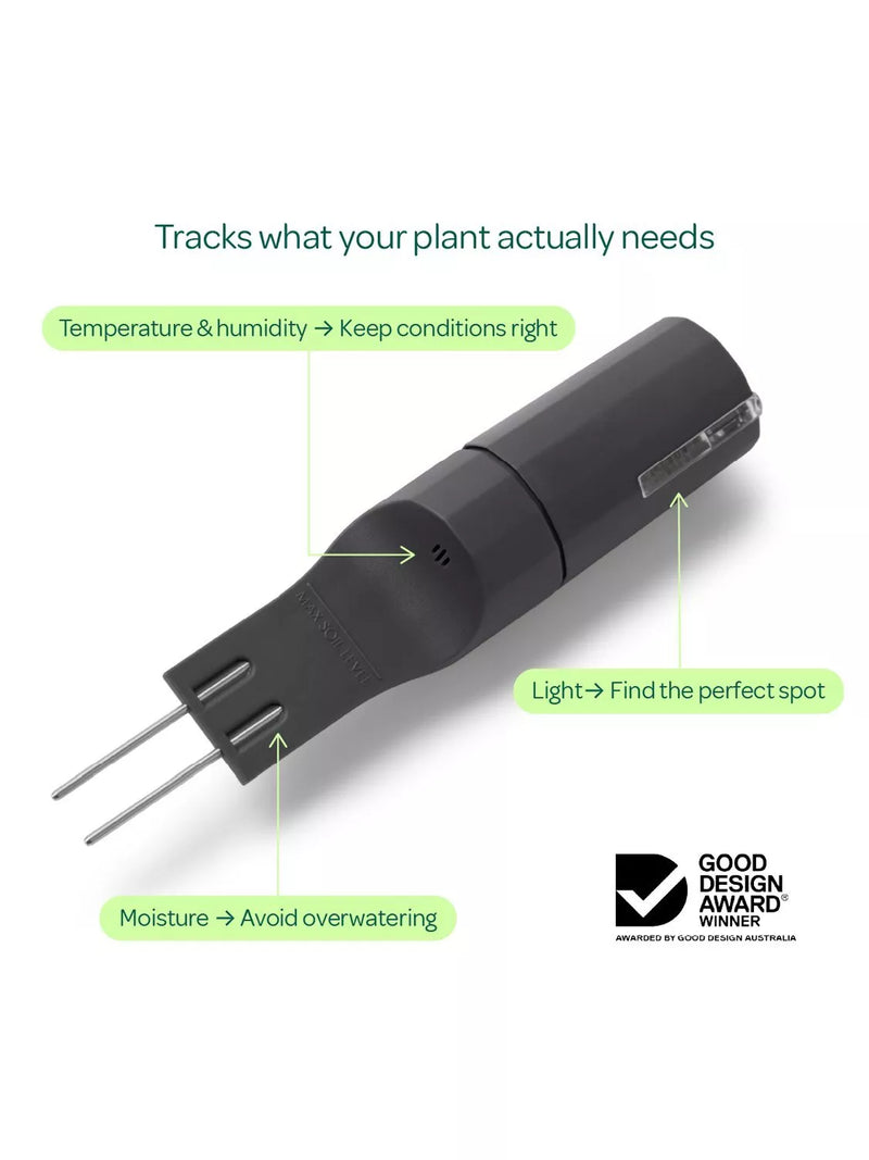 Willow smart plant sensor urban jungle pack - British product