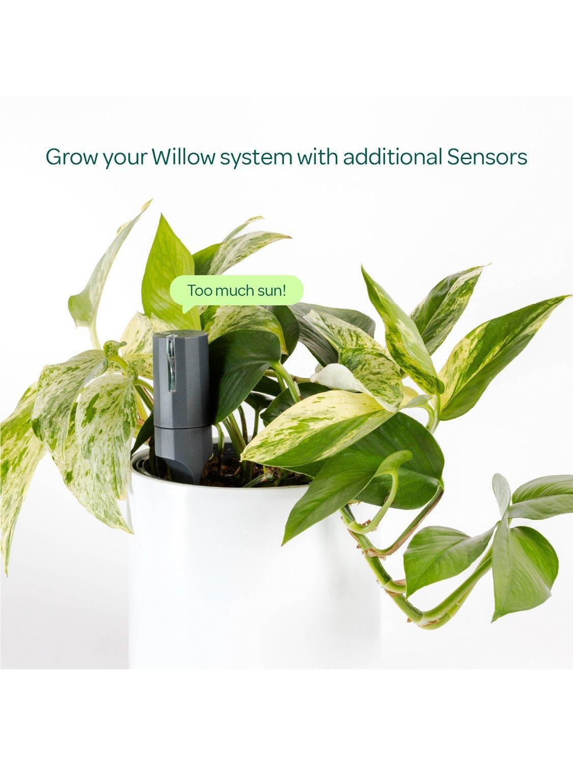 Willow smart indoor plant sensor charcoal - British product