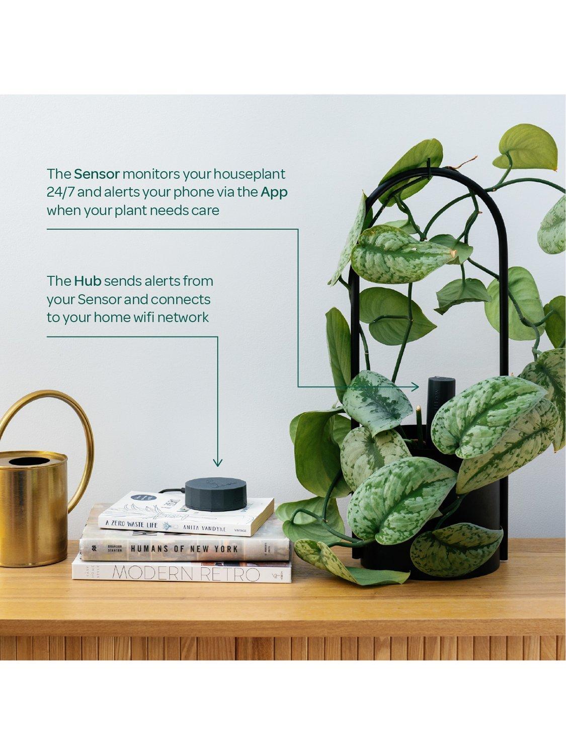 Willow smart indoor plant sensor charcoal - British product