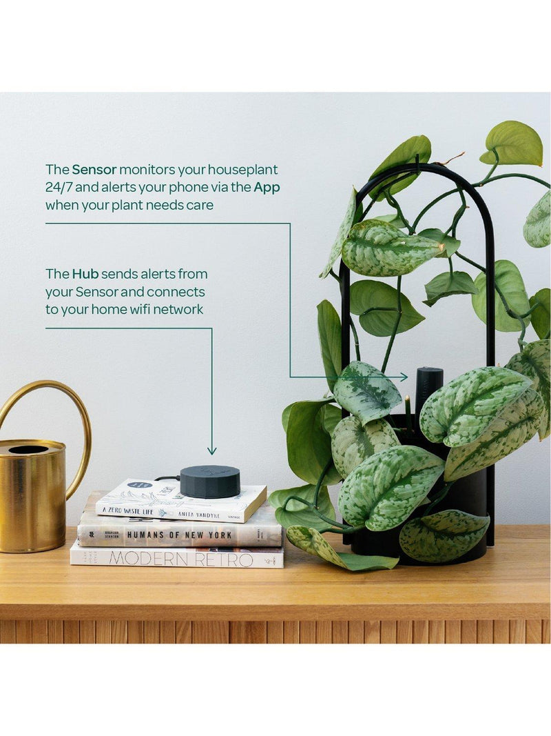 Willow smart indoor plant sensor charcoal - British product