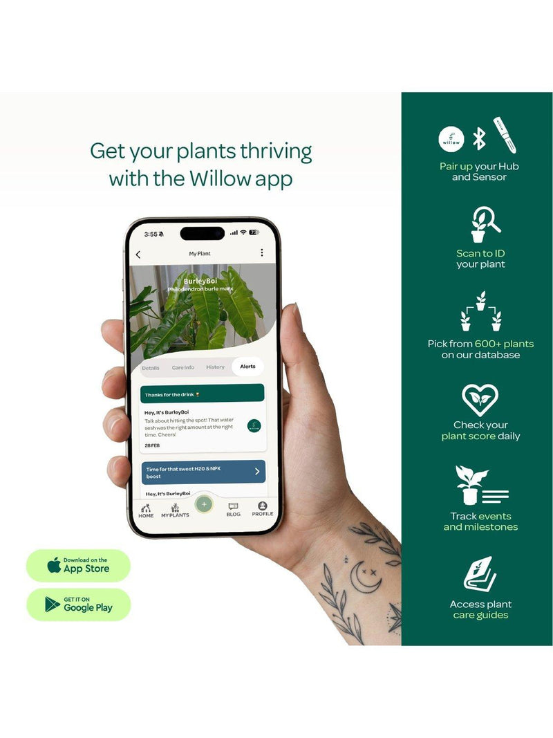 Willow smart indoor plant sensor charcoal - British product