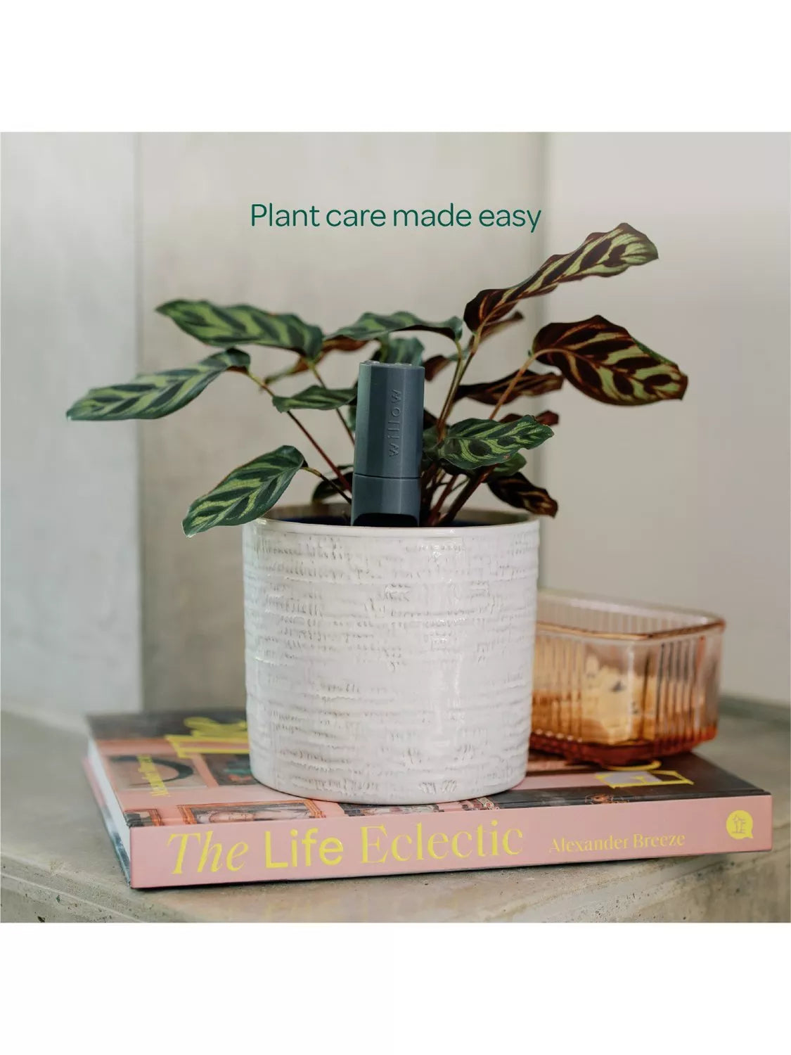 Willow smart indoor plant sensor charcoal - British product