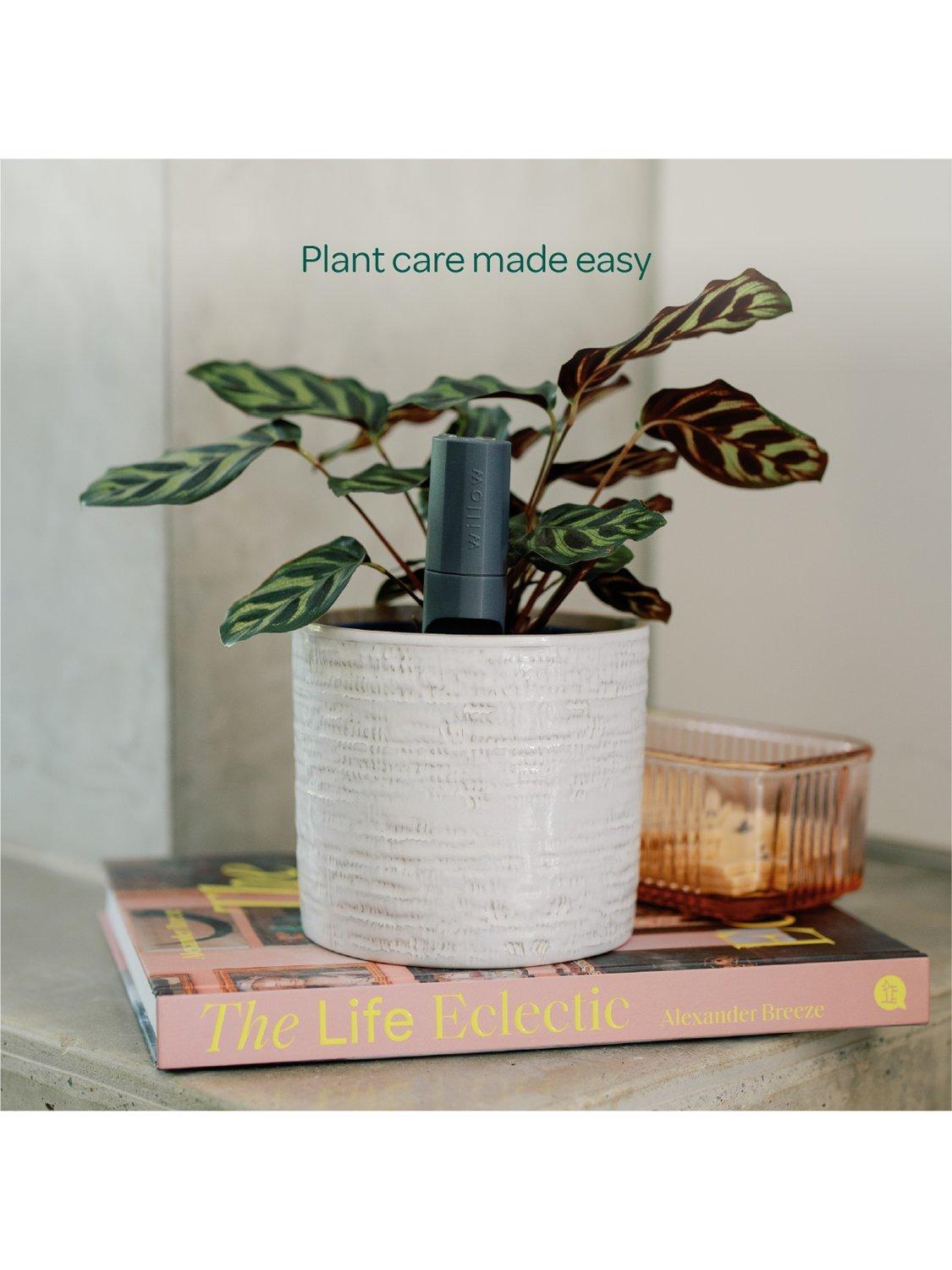 Willow smart indoor plant sensor charcoal - British product