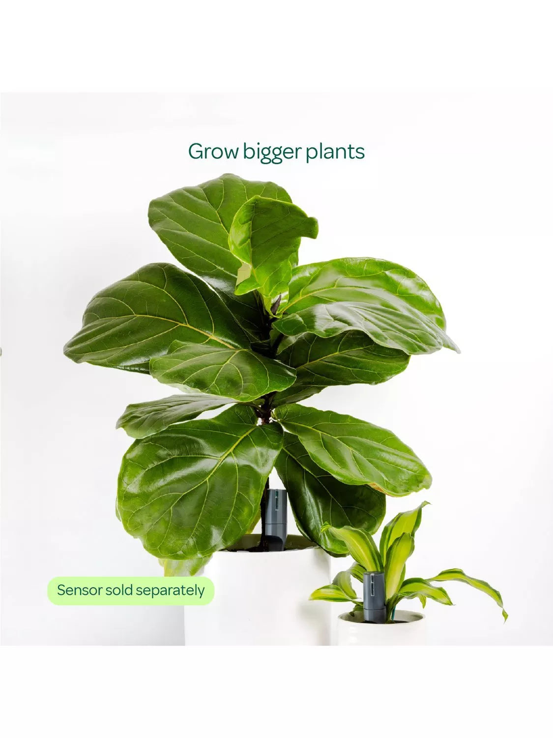 Willow large pot extension charcoal for smart plant sensor (British brand)