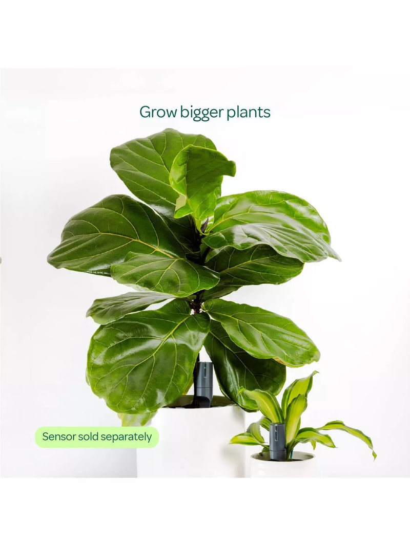 Willow large pot extension charcoal for smart plant sensor (British brand)