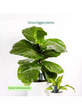Willow large pot extension charcoal for smart plant sensor (British brand)