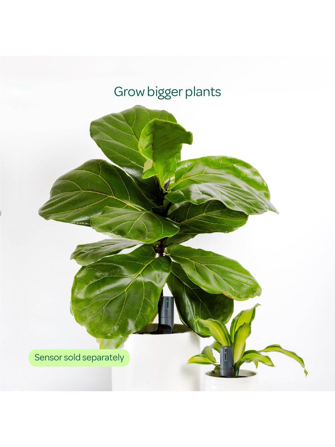 Willow large pot extension charcoal for smart plant sensor (British brand)