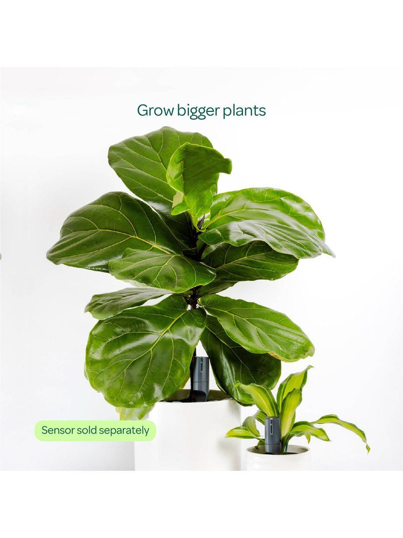 Willow large pot extension charcoal for smart plant sensor (British brand)