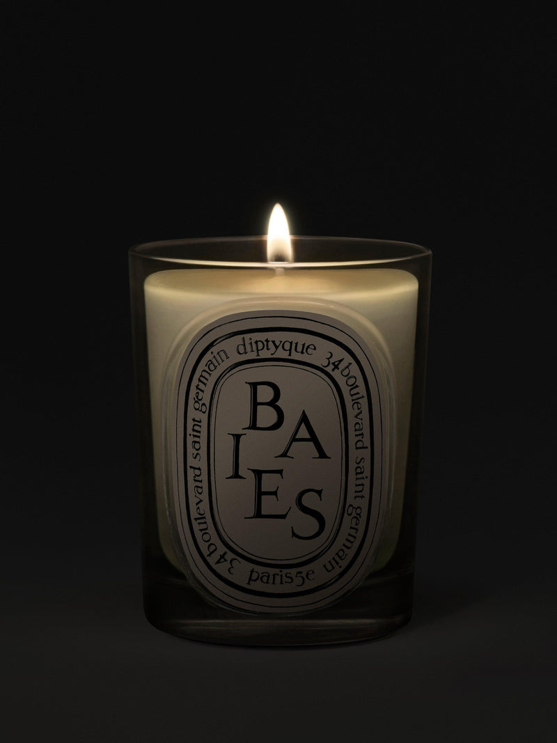 Diptyque Baies classic scented candle 190g (British brand)