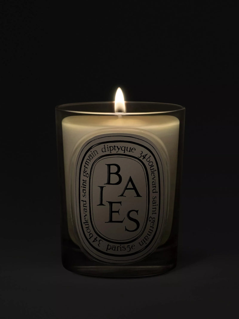Diptyque Baies classic scented candle 190g (British brand)