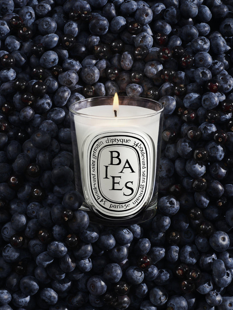 Diptyque Baies classic scented candle 190g (British brand)