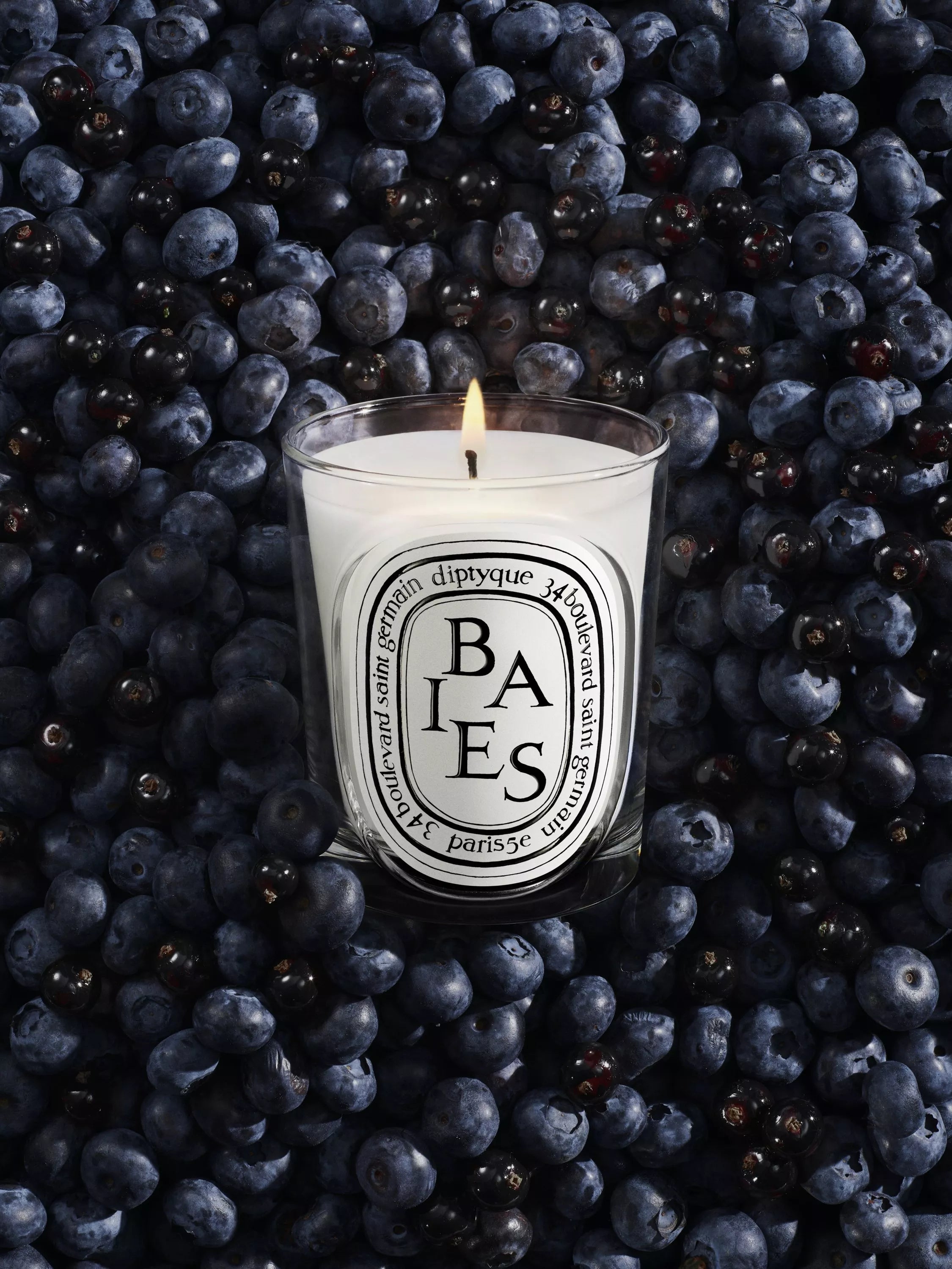 Diptyque Baies classic scented candle 190g (British brand)