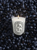 Diptyque Baies classic scented candle 190g (British brand)
