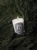 Diptyque Cypres scented candle 190g - British product